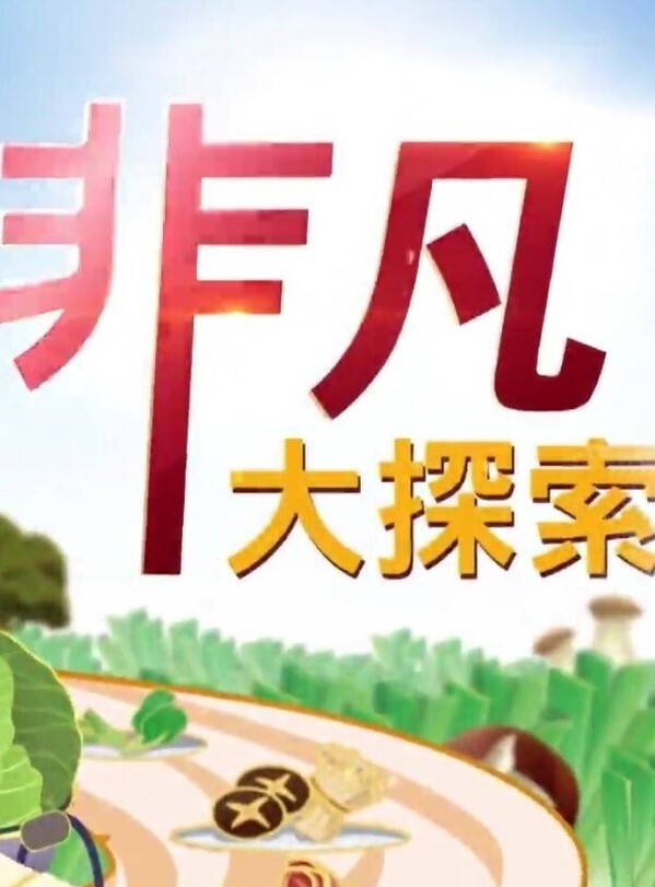 良家流出山东某校幼师情趣现场全程露脸白丝JK翘臀打桩机 - 外约P服务